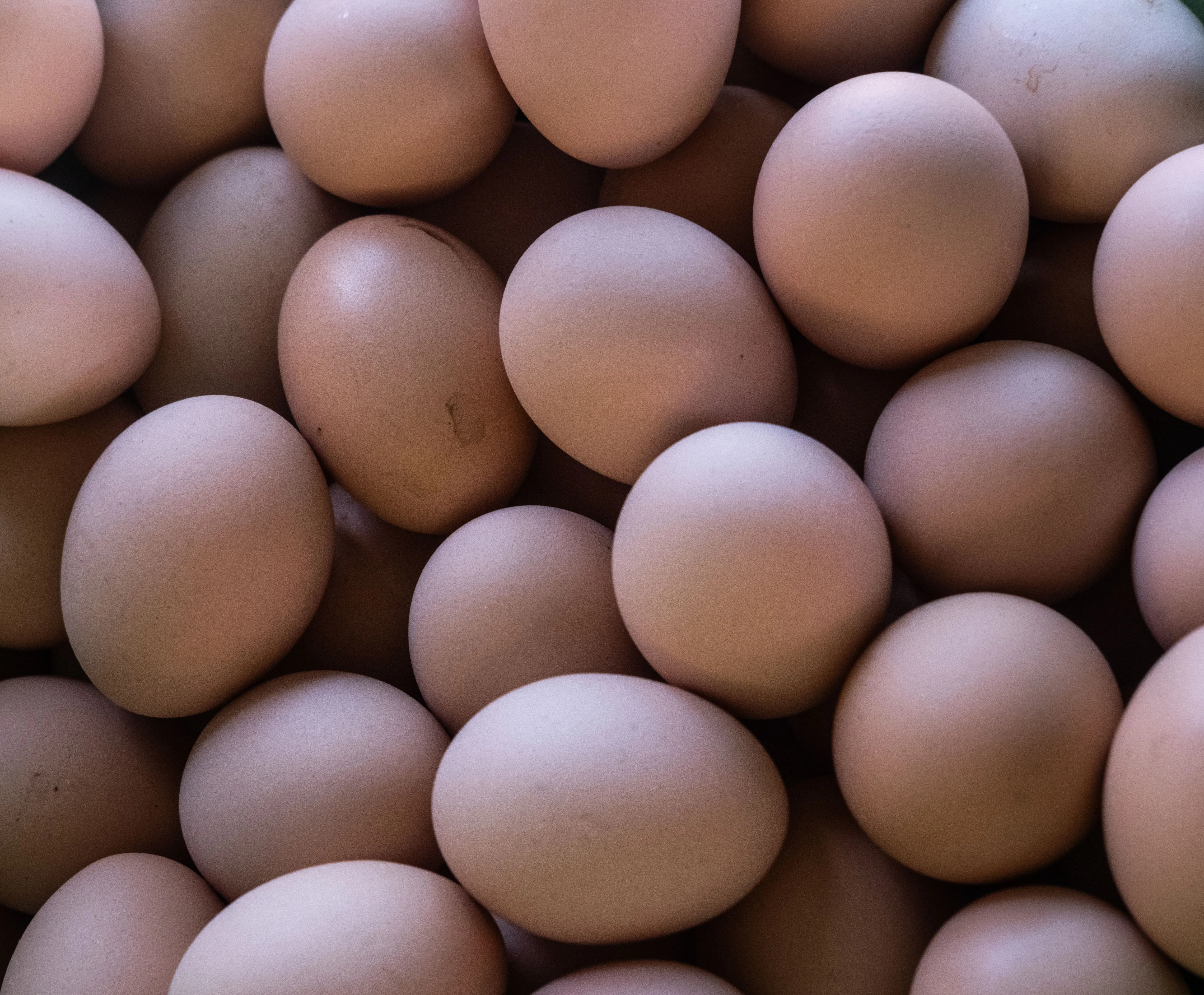 Eggs